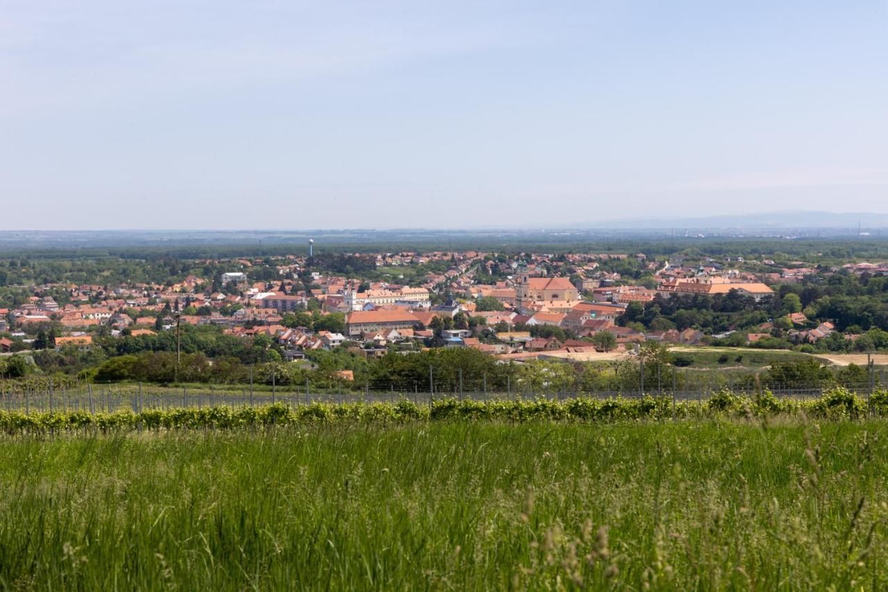 Penzion Alenka Valtice Exterior photo